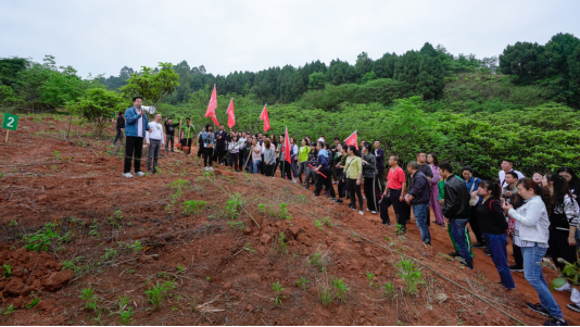 省鸿运国际集团开展龙泉山都会森林公园 “包山头”植树运动