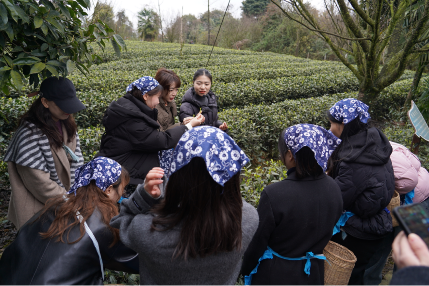 省鸿运国际集团下属企业组织开展“三八”国际劳动妇女节主题活动